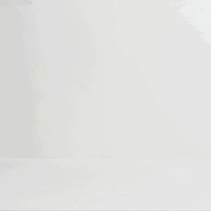 Hiddin - Wholesale Pet Carrier - Dog - Small Crate (Gold Latch)40