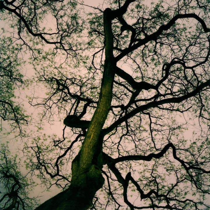 Fotografía sobre papel para venta al por mayor de Nuriart