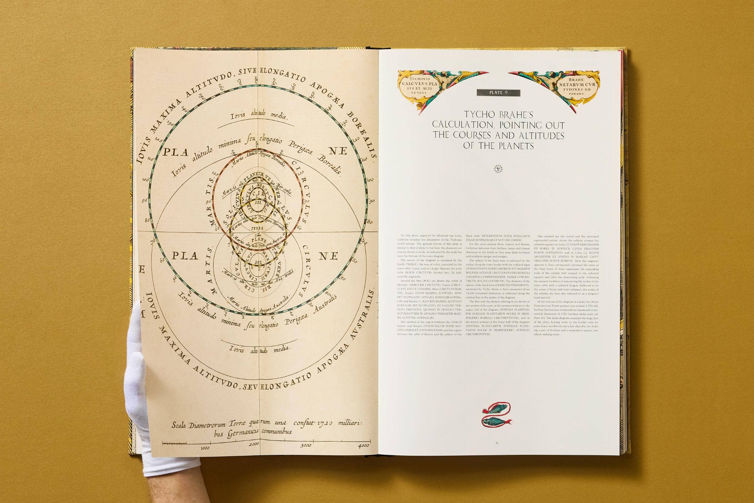 TASCHEN Europe - Wholesale Reference Book - Cellarius Atlas (German, French, English)15