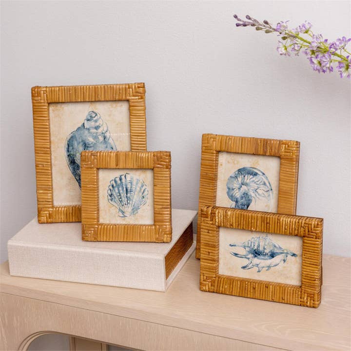 Framed Art - Seashells In Rattan Frame (Set Of 04) for wholesale by Audrey's Home & Gift