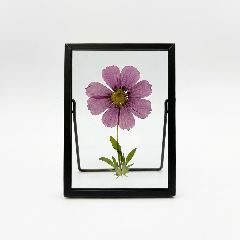 Sunnie Lane - Wholesale Desk/Tabletop Sign - Real Pressed Flower Frame - Beautiful Flower Art19