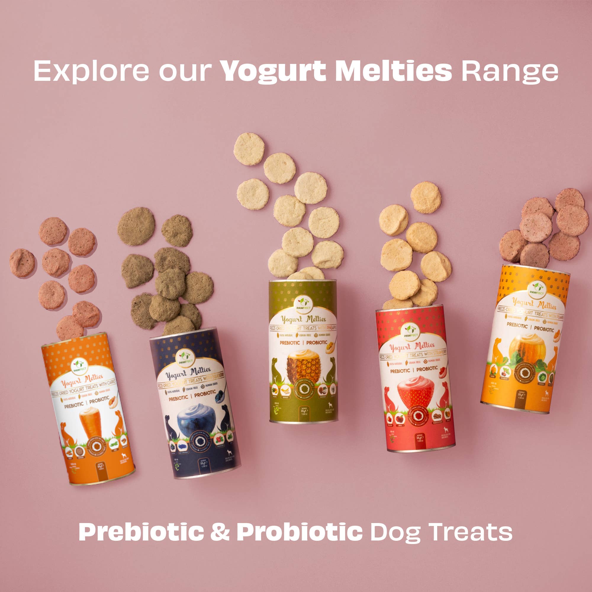 Pawfect Foods – wholesale Godis - Hund – Pawfect Yogurt Melties Probiotiska och Prebiotiska Hundgodisar med Jordgubb, Äpple, Papaya & Kardrot | Hälsosam Mage | Lågt Kaloriinnehåll | Korn- och Glutenfria | Belönings- och Träningsgodis (38 g)6