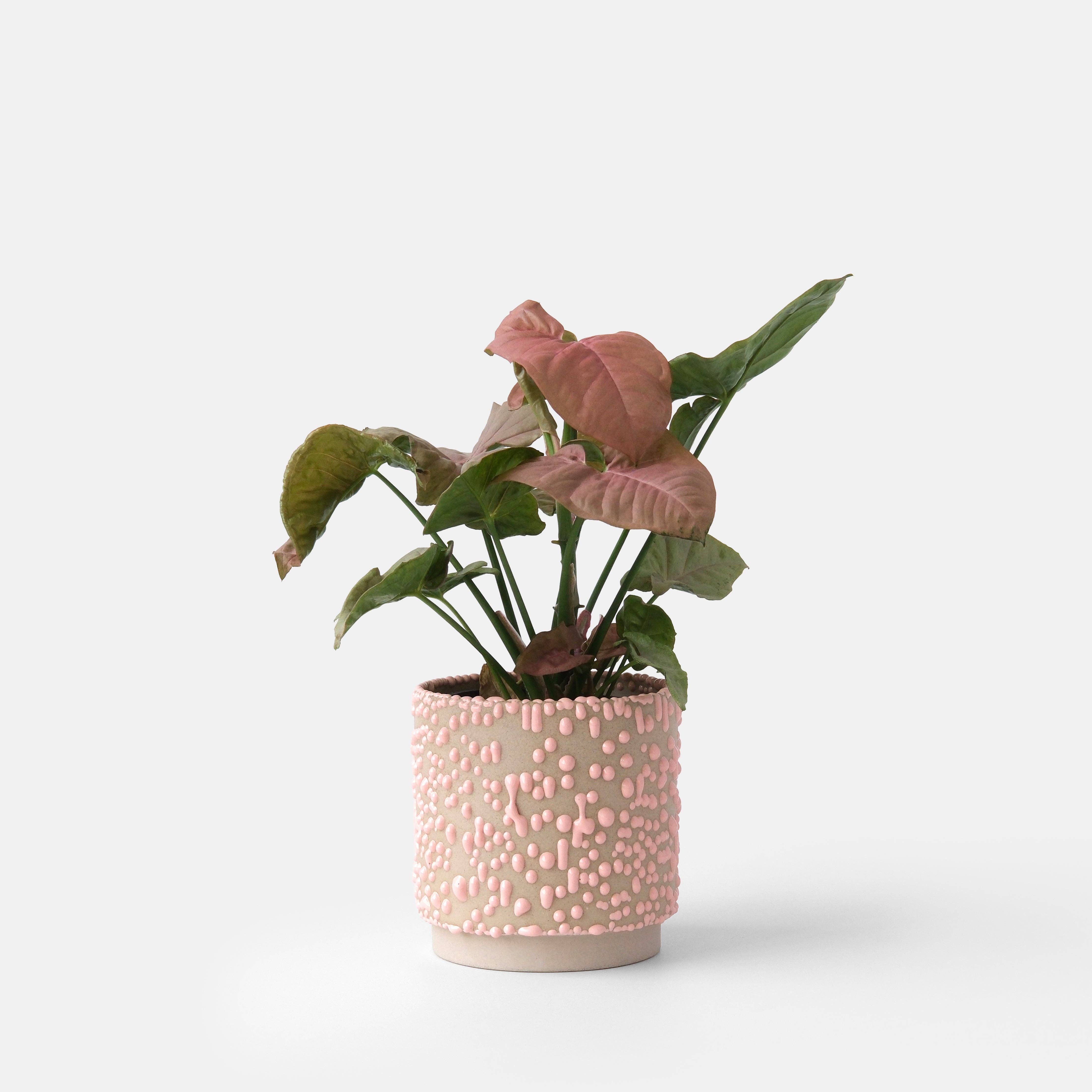 Misewell - Wholesale Plant Pot - Kolo (Gloopy) Planter9