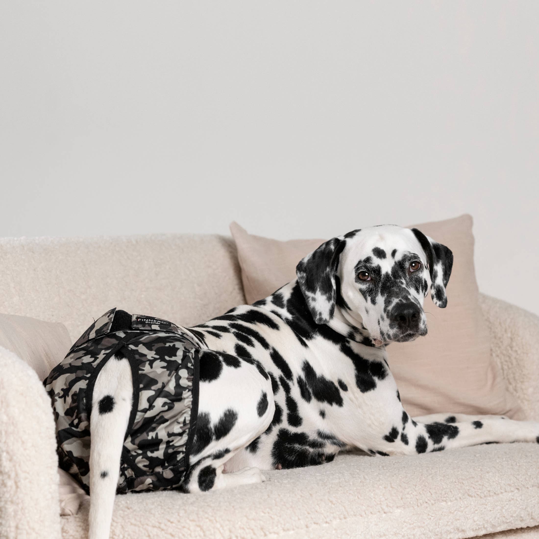 FINNERO - Wholesale Pet Diaper - Dog - FINNERO BRENDA Dog Hygiene pants, 3 colors, Washable Diaper4