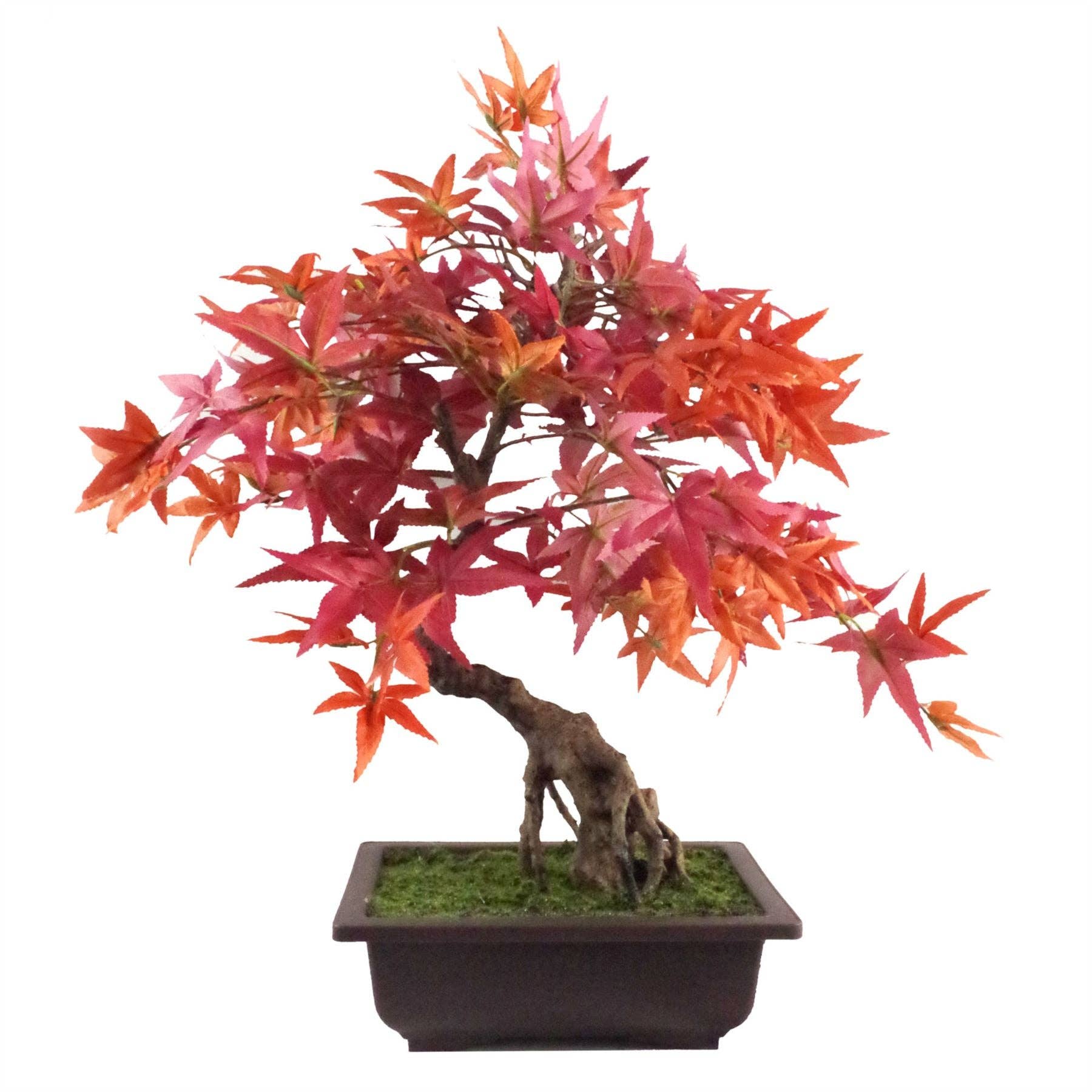 Leaf Design UK LTD - Wholesale Kunstplant - Kunstmatige Bonsai Esdoorn 50 cm met Rode Bladeren0