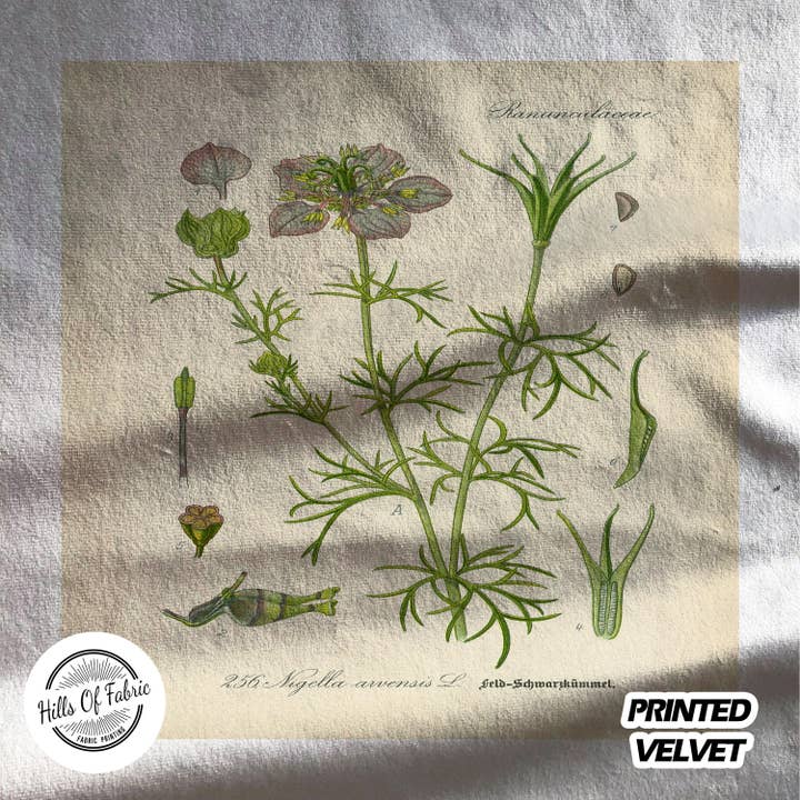 Hills Of Fabric - Venta al por mayor Tela - Panel de tela estampado de plantas de hinojo silvestre