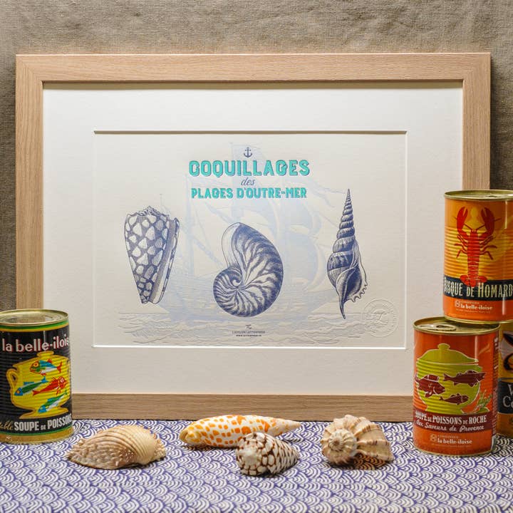 Lithographie en typographie de coquillages des plages d'outre-mer pour la vente par L'Atelier Letterpress