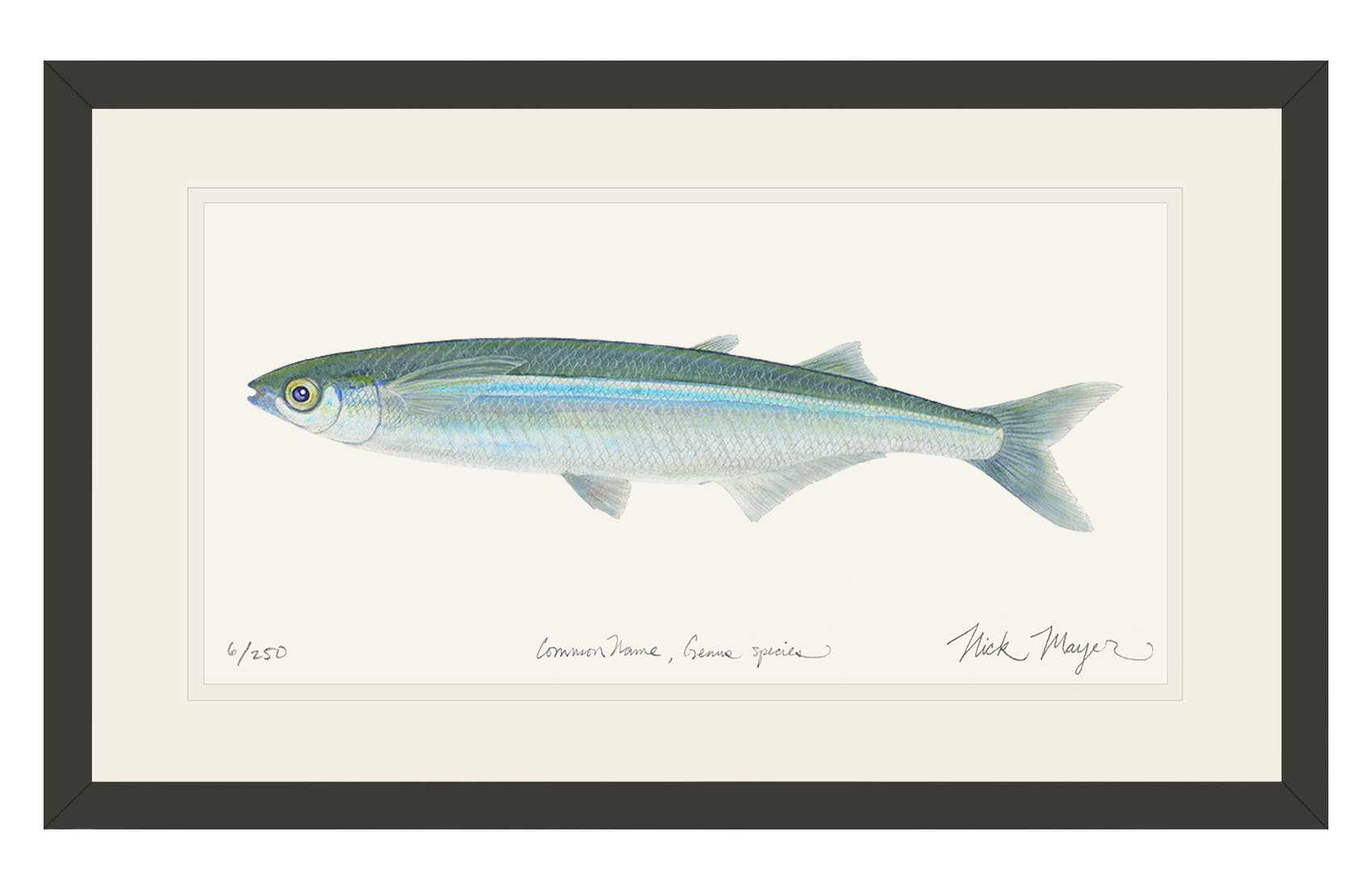 Nick Mayer Art - Wholesale Art Print - Smelt Limited Edition Print1
