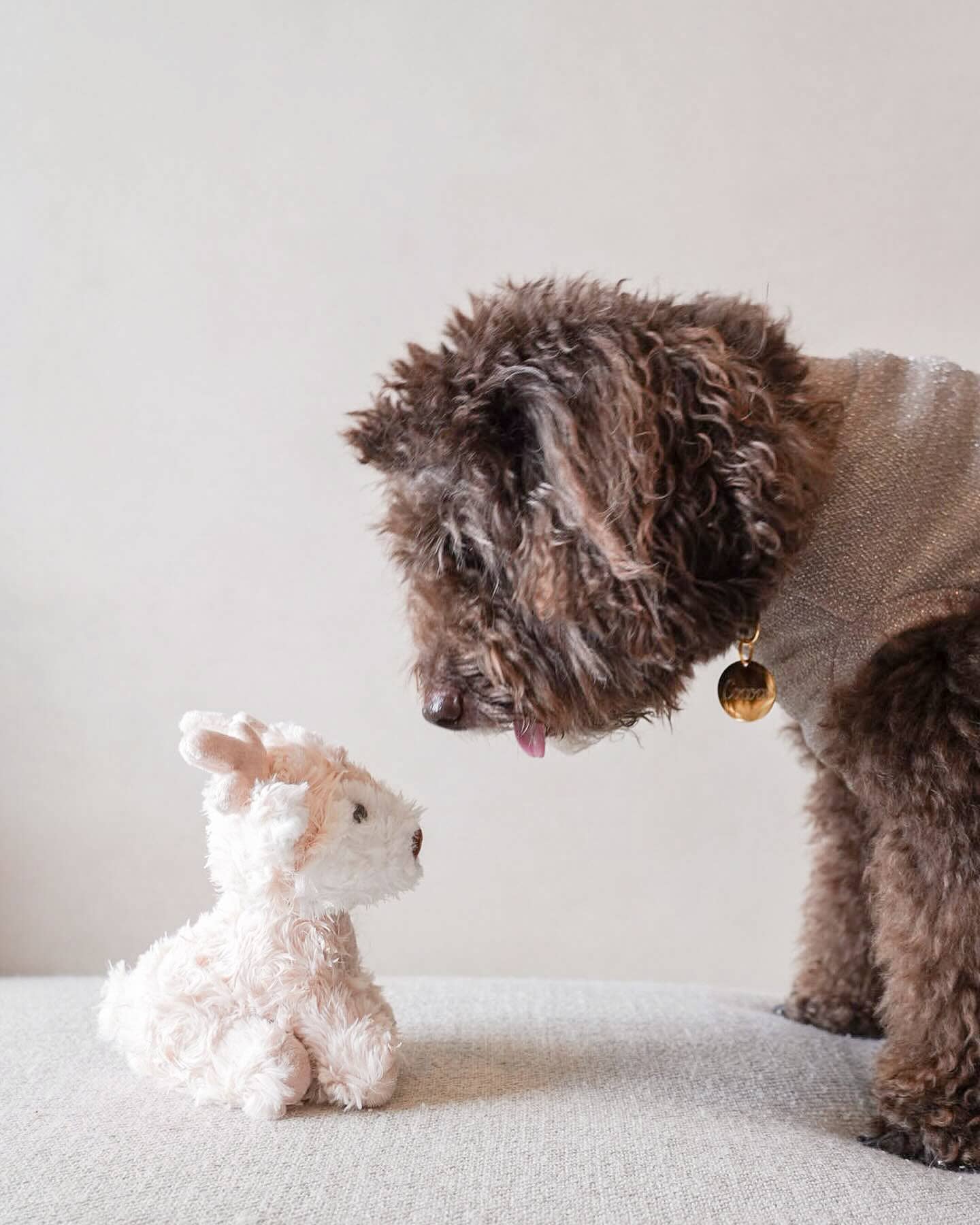 Fur Elise Pets - Wholesale Pet Plush Toy - Dog - Koko Mini Plushie5