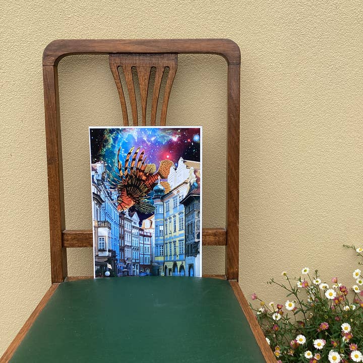 Curiosity Print for wholesale by miss leaf