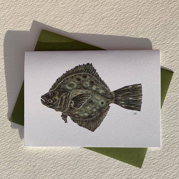Cartoline da spiaggia costiera: Flounder Fish per la vendita all'ingrosso da parte di JAKE & META