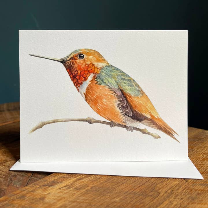 Allen's Hummingbird - Blank Note Card for wholesale by Amy Shawley Paquette