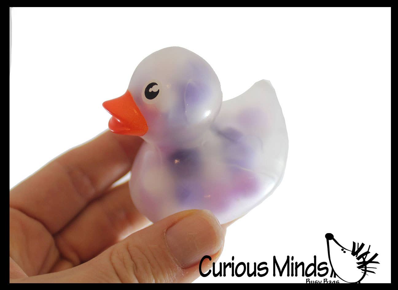 Curious Minds Toys - Wholesale Bath Toy - Baby - 1 Pom Pom Filled Regular 2" Rubber Ducks - Rubber Duckies - 3