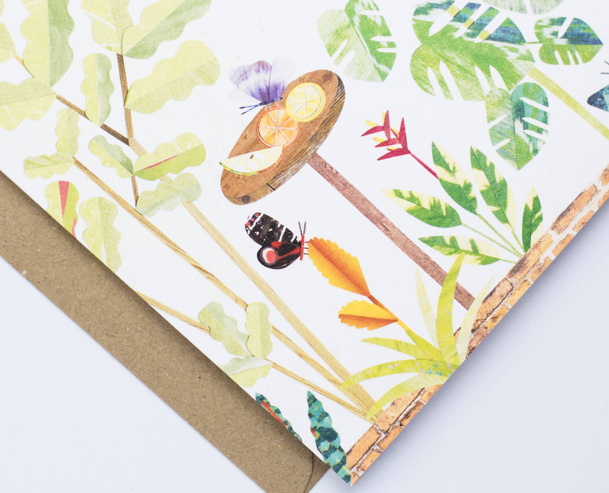 Paperwhale Cards & Paper Goods – wholesale Everyday greeting card – Butterfly House Concertina Card3