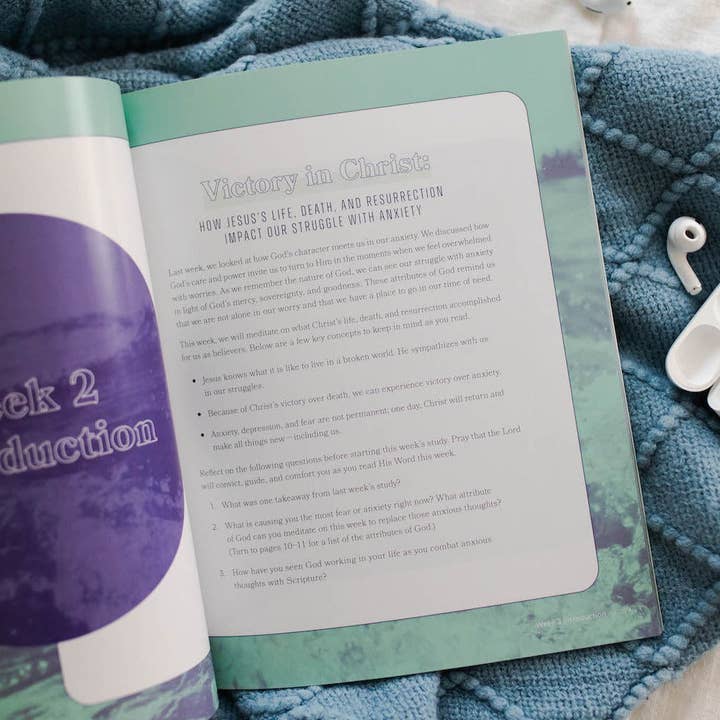 The Daily Grace Co - Wholesale Book - Adult - It Is Well for Teens