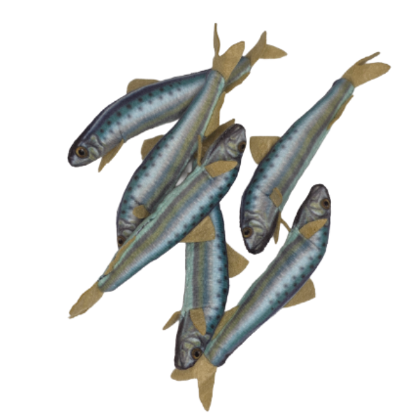 Canned Gifts - Wholesale Stuffed/Plush Toy - Kids & Baby - Can O' Sardines | Fish Stuffed Animal Plush w/Funny Jokes4