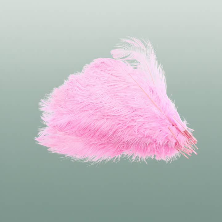 Dried Ostrich Feather Light Pink Big for wholesale by All Occasions Wholesale