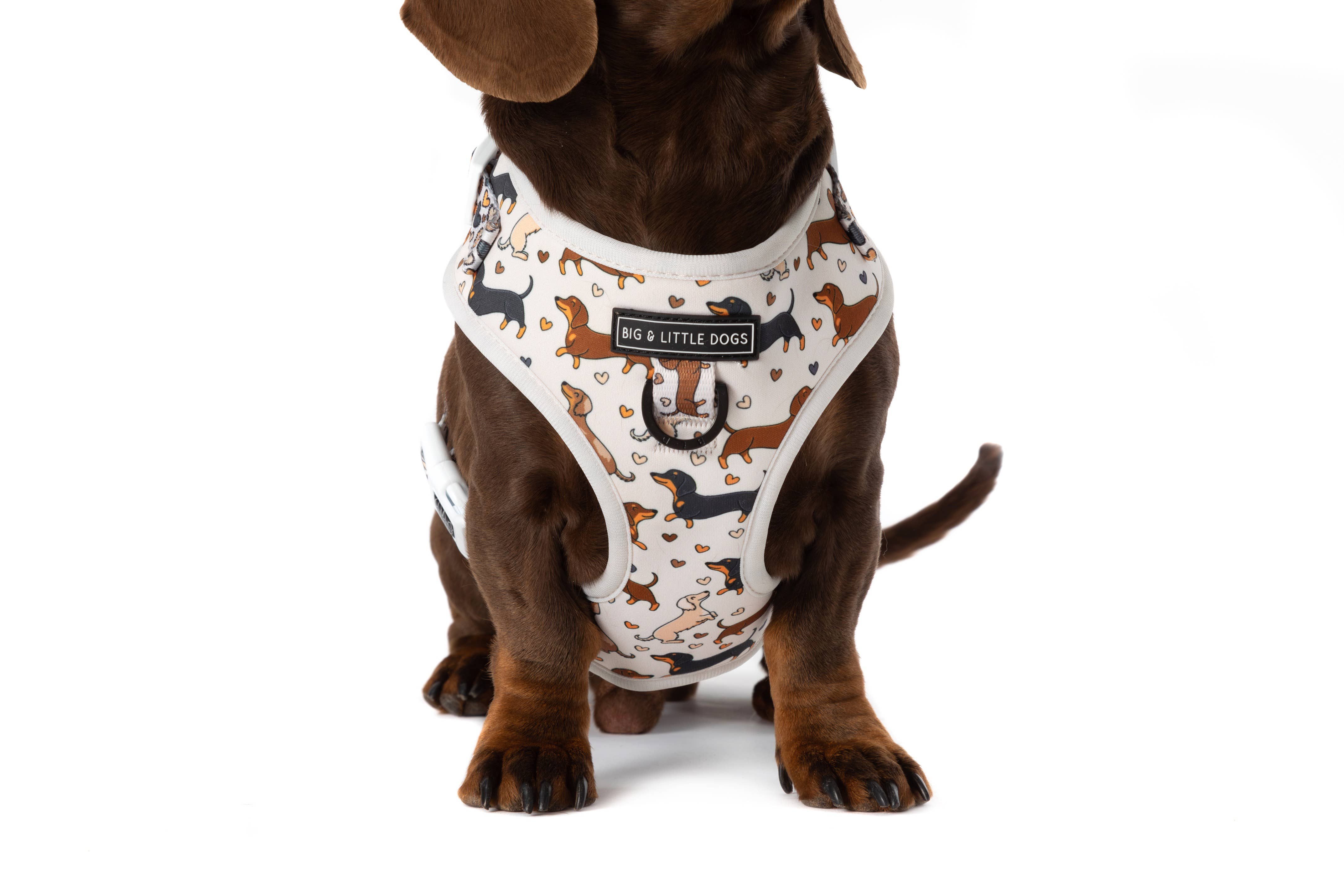 Big and Little Dogs - Wholesale Pet Harness - Dog - ADJUSTABLE DOG HARNESS: Dashie Lovers8