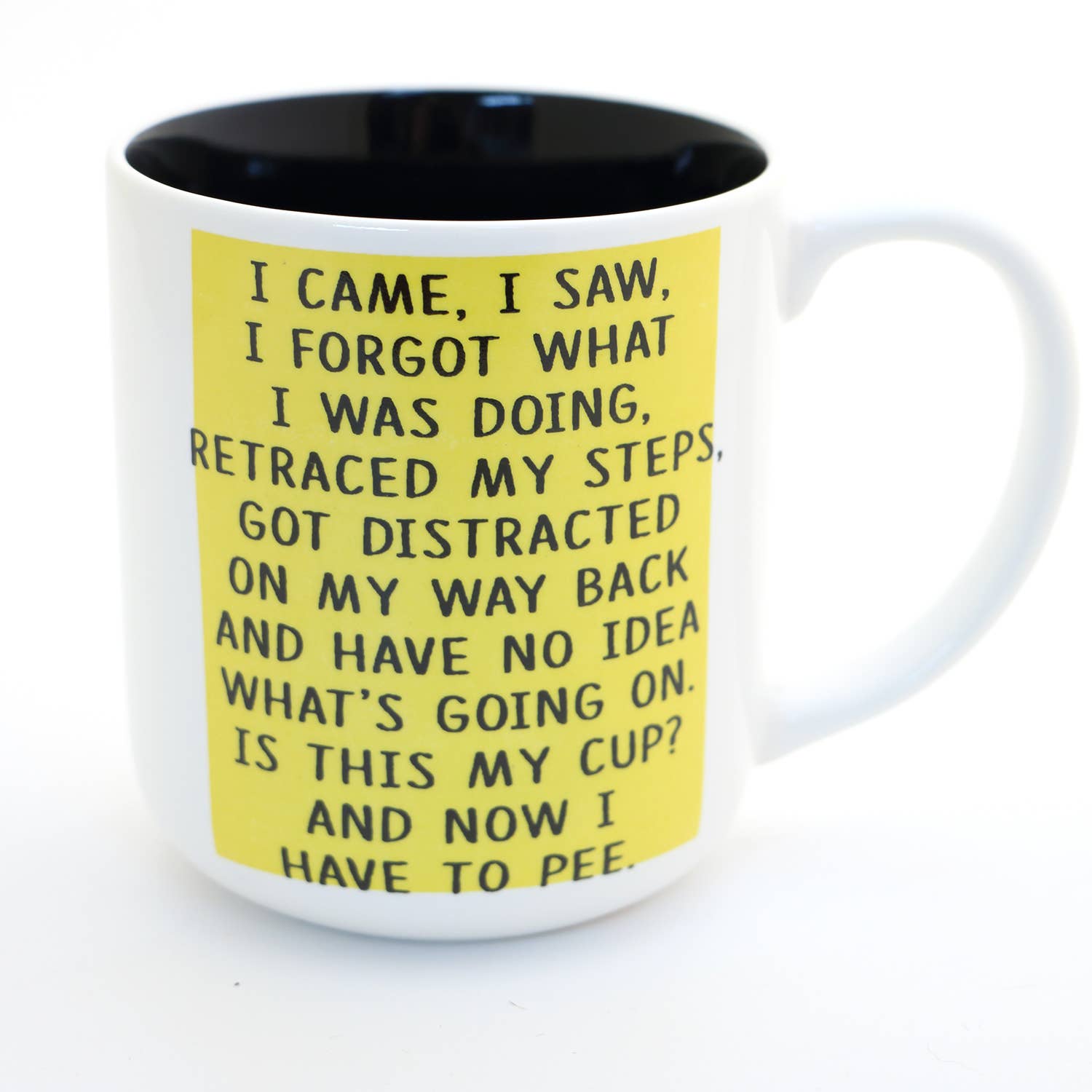 Lenny Mud - Wholesale Coffee Mug - I Came I Saw mug, middle aged, birthday mug, funny adulting3
