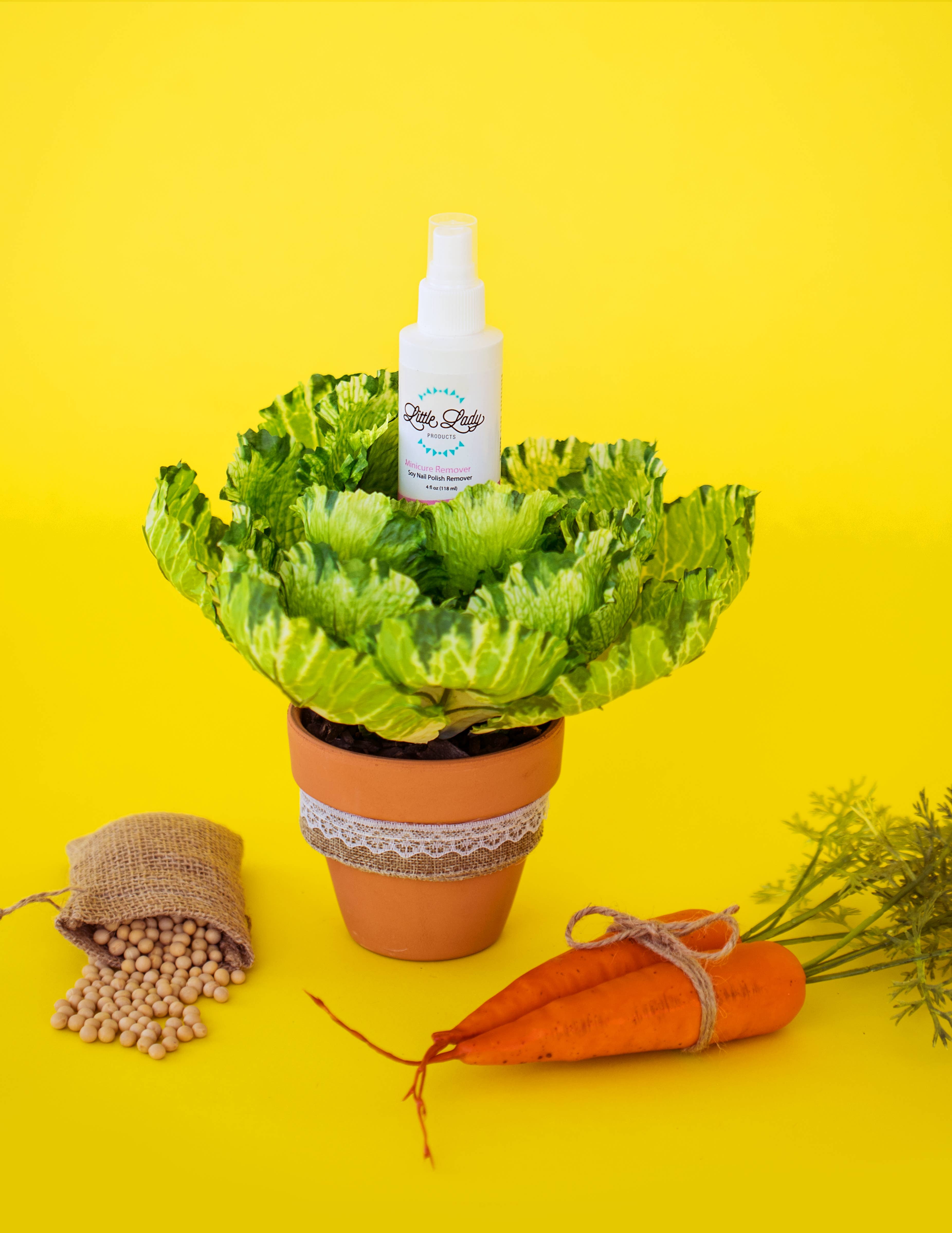 Little Lady Products - Wholesale Nail Polish Remover - Minicure Remover1