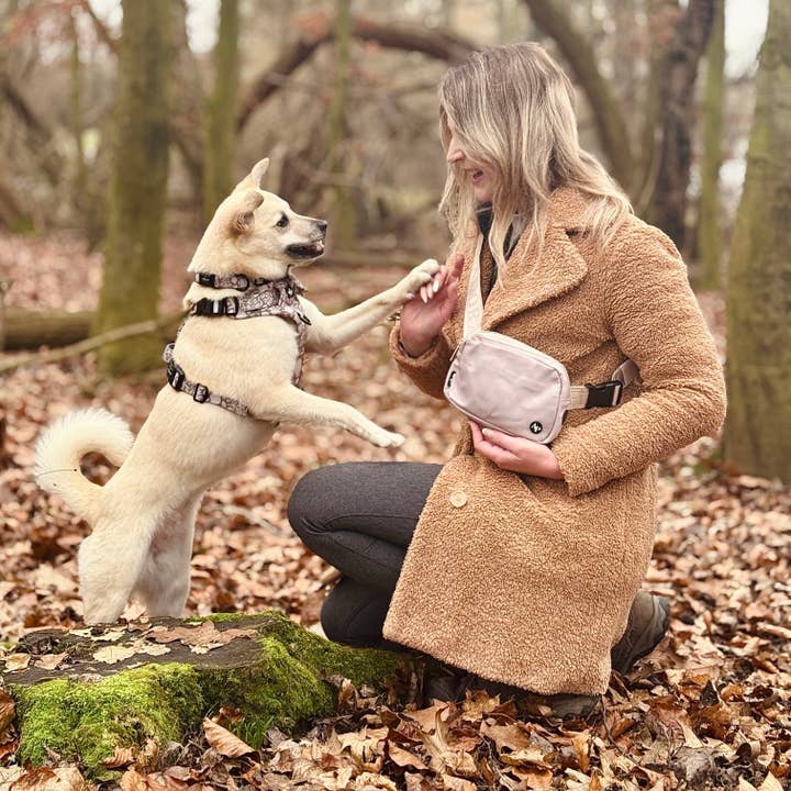 The aDoraBle Pooch Company - Wholesale Belt bag – Women’s - Slimline Everyday Bumbag - Beige10
