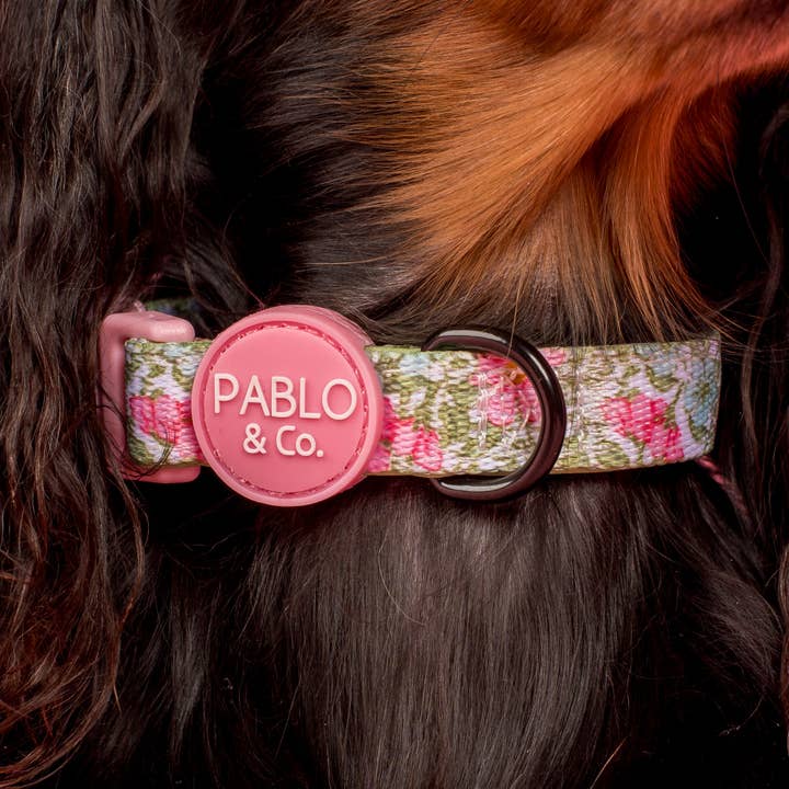 Pablo & Co. Boutique - Wholesale Pet Collar - Dog - Flora & Fern: Dog Collar