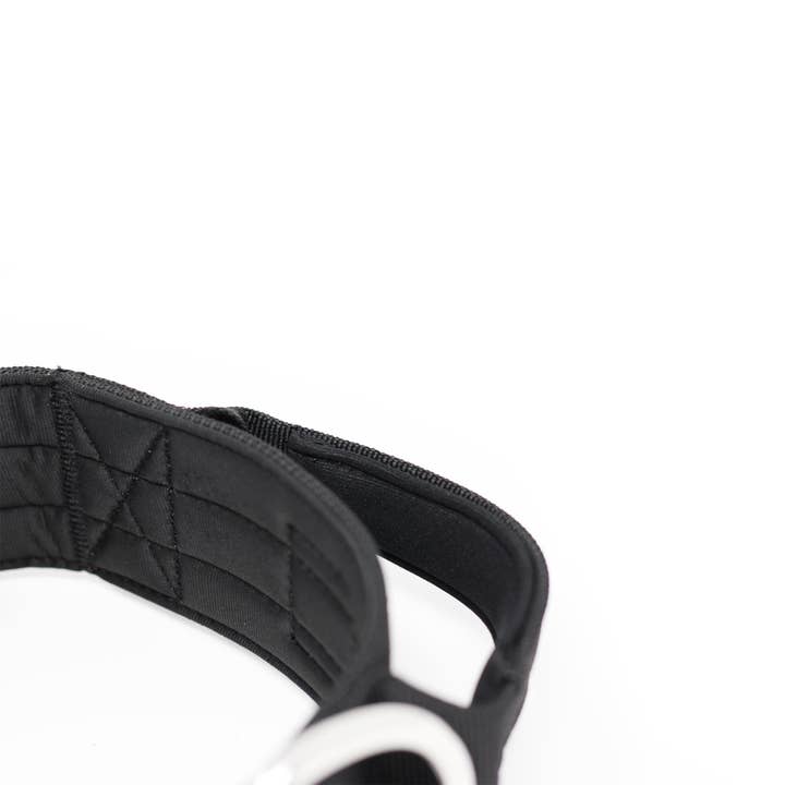 BullyBillows Ltd - Vente Collier – chien - Collier pour chien Combat™ 5 cm - Noir v2.0