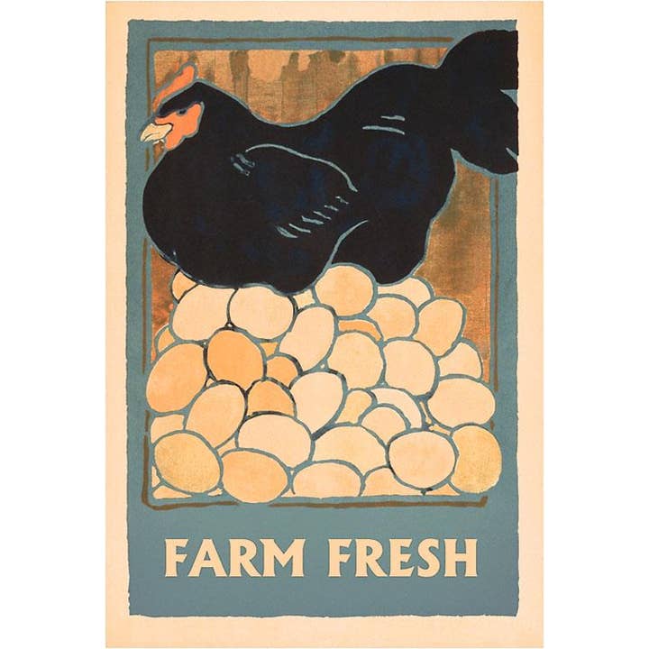 Cartão de Felicitações FO-650 Fresco da Quinta, Galinha em Ovos por atacado de Found Image Press