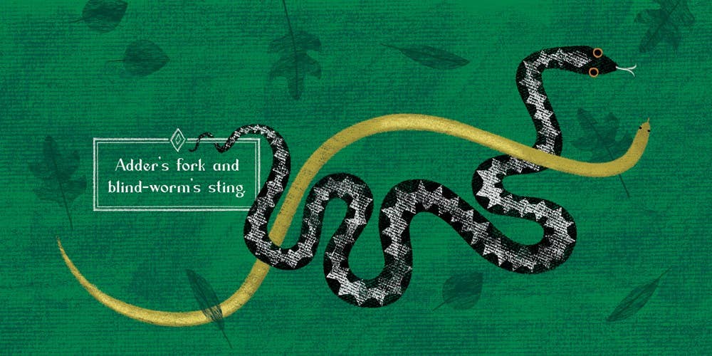 Gibbs Smith - Wholesale Baby & Toddler Book (0-2) - Macbeth6