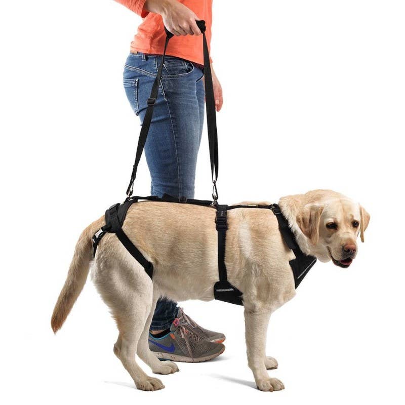 Ortocanis – wholesale Pet harness – Dog – Ortocanis Full Body Dog Harness1