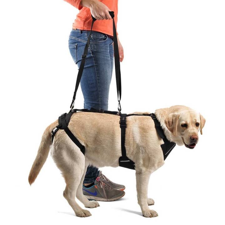Ortocanis - Wholesale Pet Harness - Dog - Ortocanis Full Body Dog Harness1