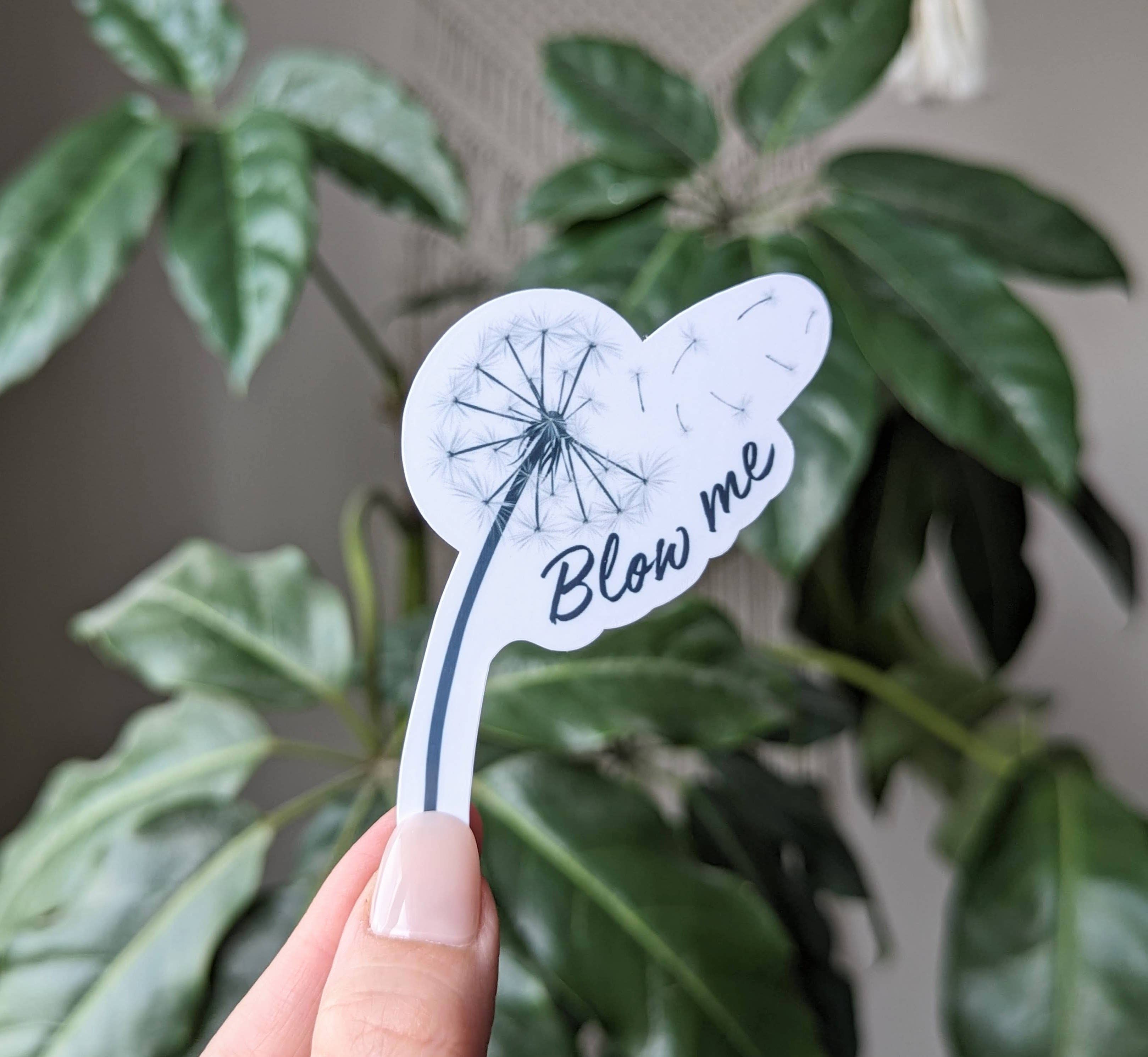 Moonlit Creations – wholesale Sticker – Blow me vinyl sticker, funny adult dirty sticker0