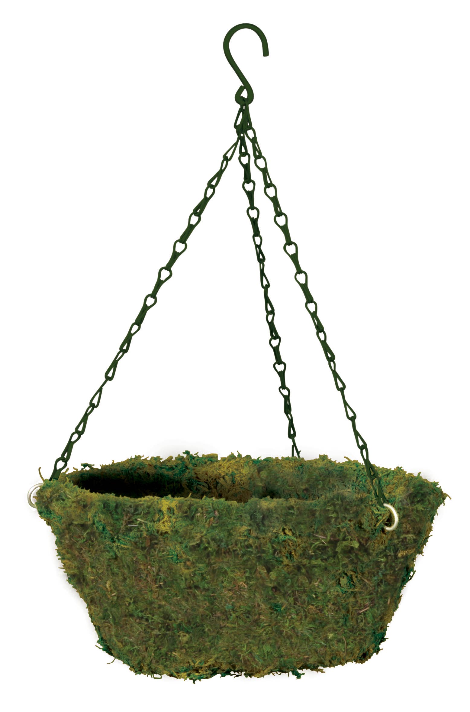 Braun - Wholesale Hanging Planter - Evergreen Moss Hanging Basket with Stiff Swivel Chain Hanger0