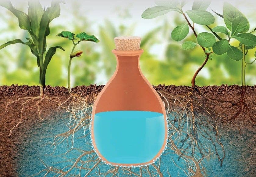NACH - Wholesale Watering Can - Olla Underground Watering Bottle, Small3