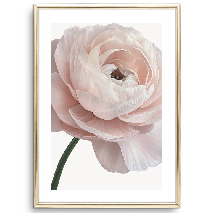 Pôster 'Ranúnculo' por atacado de Tales by Jen