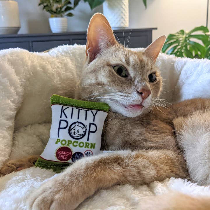 Huxley & Kent - Wholesale Speeltje - Kat - Kitty Pop Katten Speelgoed1