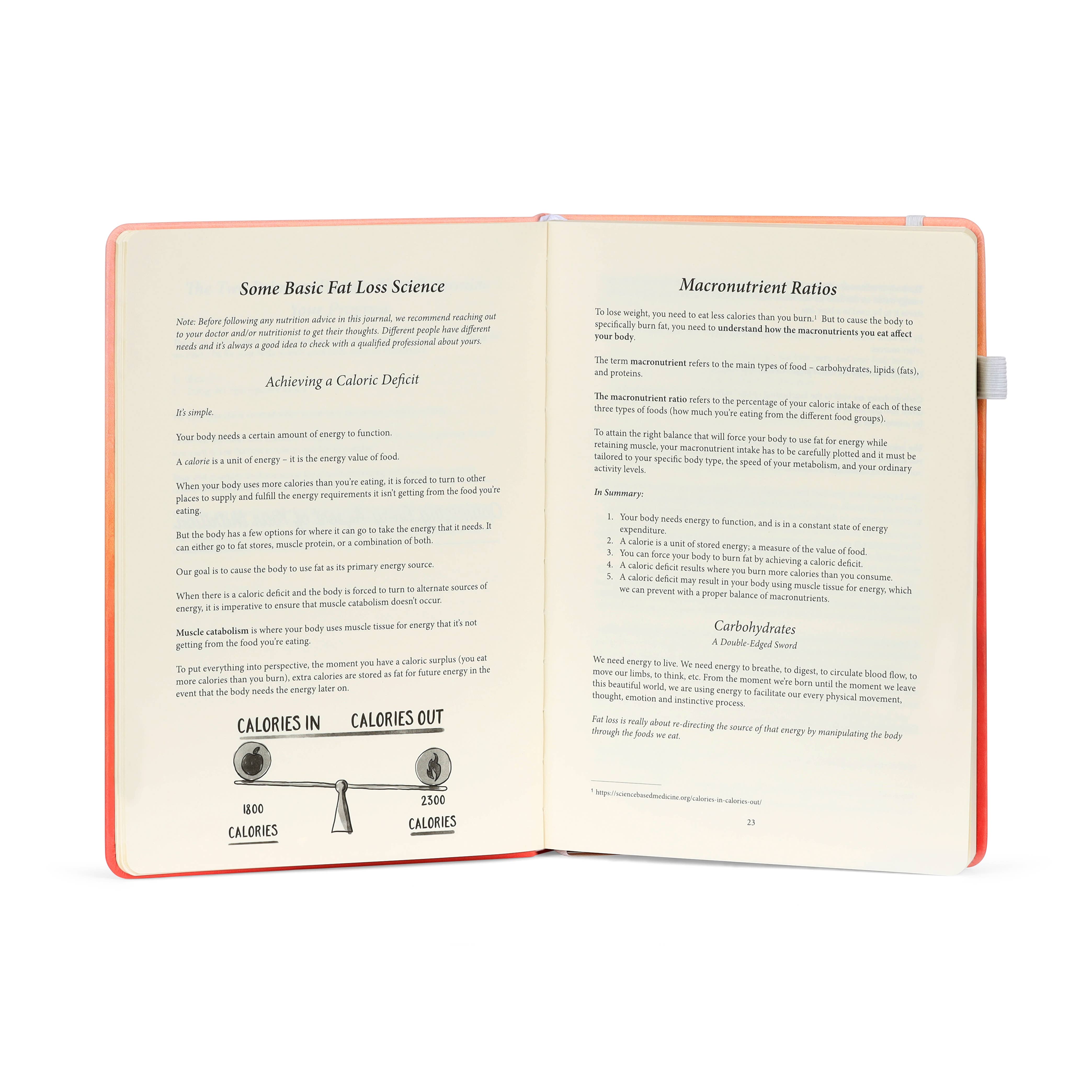 Habit Nest - Wholesale Dagboek/agenda - Het Badass Body Goals Journal3