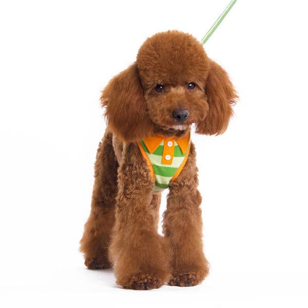 Dogo Pet - Wholesale Pet Harness - Dog - EasyGO Polo11