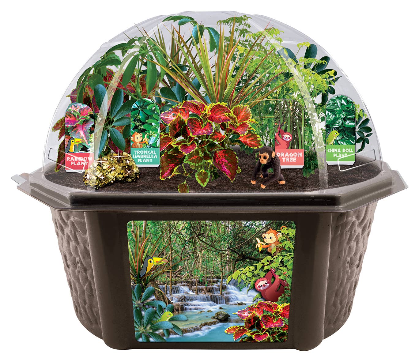 Silver Circle Products - Wholesale DIY Craft Kit - Kids - Tropical Rainforest Jungle Biosphere Terrarium4