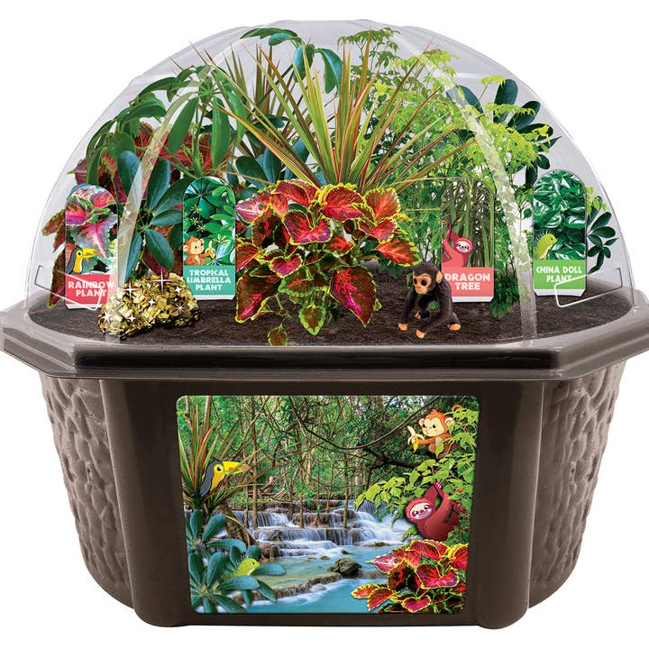 Silver Circle Products - Vente Kit de bricolage – enfant - Terrarium de biosphère de jungle de forêt tropicale4