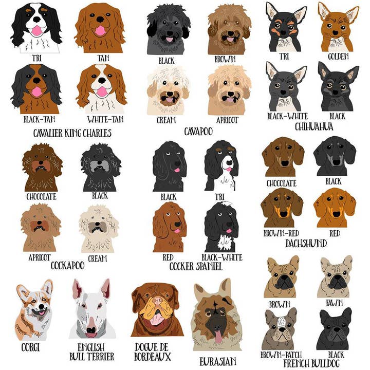 Afewhometruths – Engroshandel Pyntepude – Personlig Hund Gave Pude
