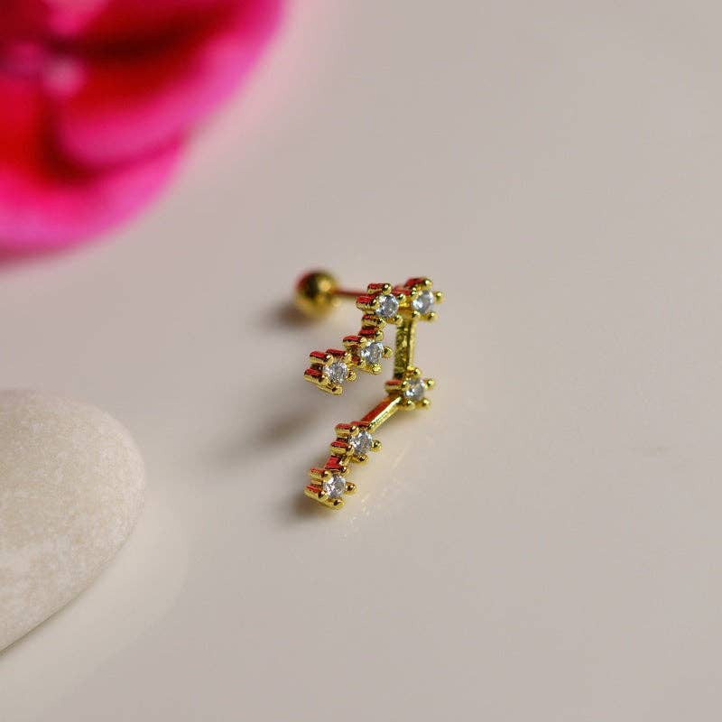 StockJWL - Wholesale Stud/Post Earrings - 12 Zodiac Earrings, Constellation Stud Earring Stud Piercing Tragus Helix Lobe and Cartilage Silver And Gold14