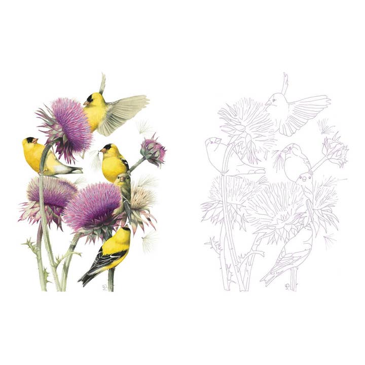 Simon & Schuster - Wholesale Coloring Book - Adult - Posh Adult Coloring Book: Inspired by Nature by Marjolein Bastin