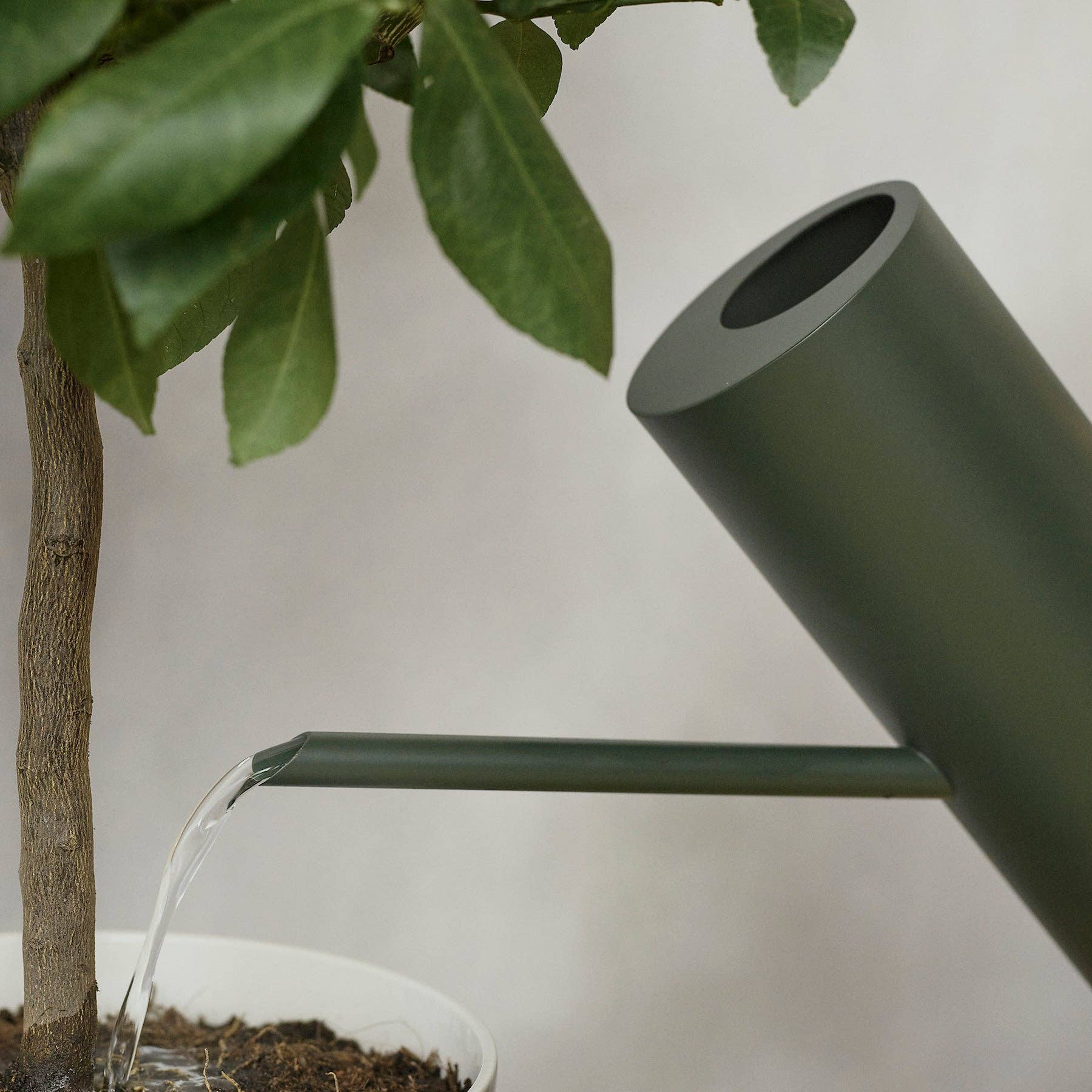 Studio Nordhaven - Wholesale Watering Can - Bloom Watering Can - Pine Green4