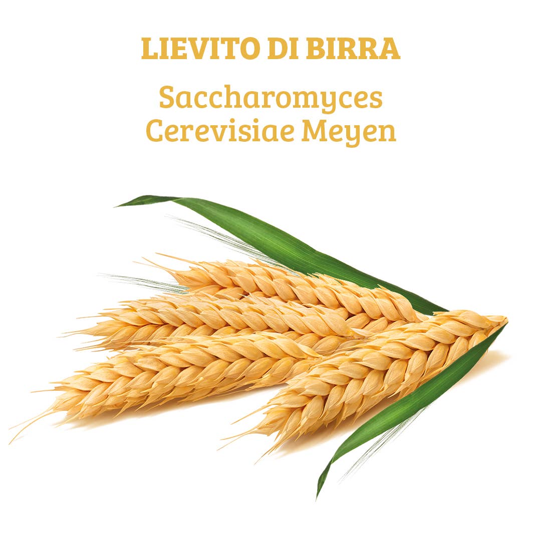 OPTIMA NATURALS – wholesale Oral supplement/vitamin – Pure Brewer's Yeast, 120 tablets, 400 mg2