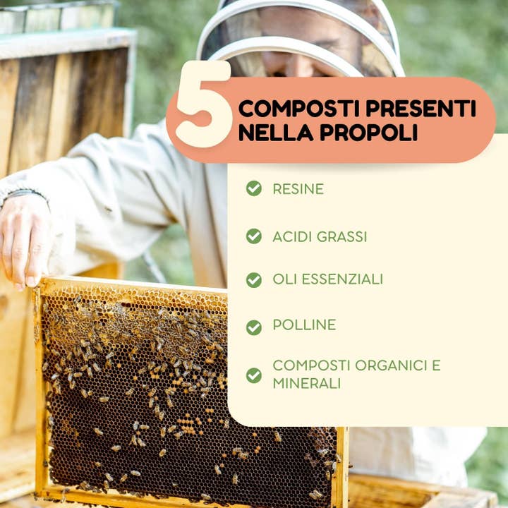 Vonderweid - Wholesale Tincture - Propolis Drops - Hydroalcoholic Mother Tincture of Propolis 100 ML3