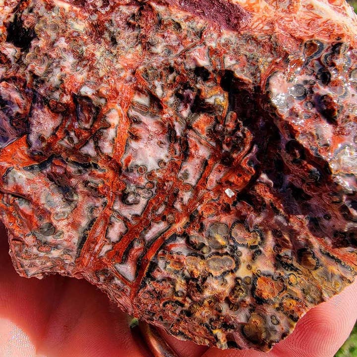 Lapidary Central – Pedra/cristal espiritual por atacado – Amostra Aleatória de Riólito Pele de Leopardo Mexicano em Bruto!6