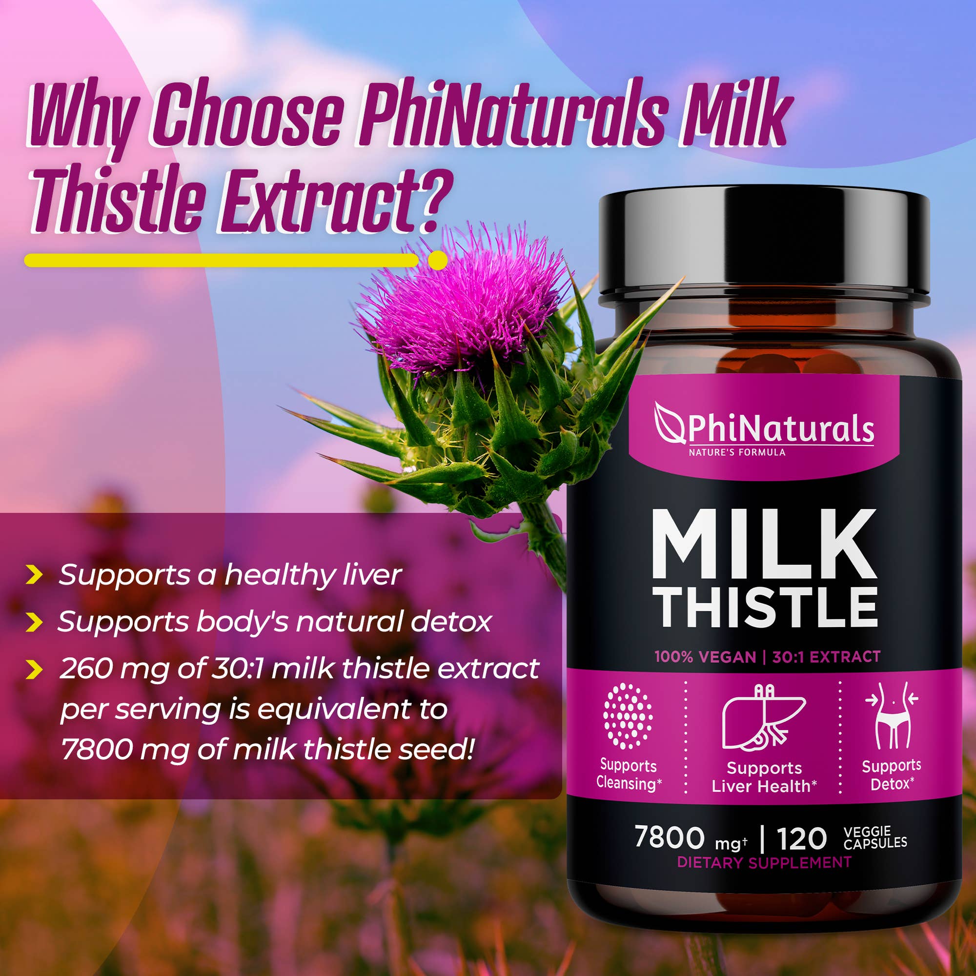 Excel Nutritionals LLC DBA Phi Naturals - Wholesale Oral Supplement/Vitamin - Milk Thistle Silymarin 30x Extract Supplement6