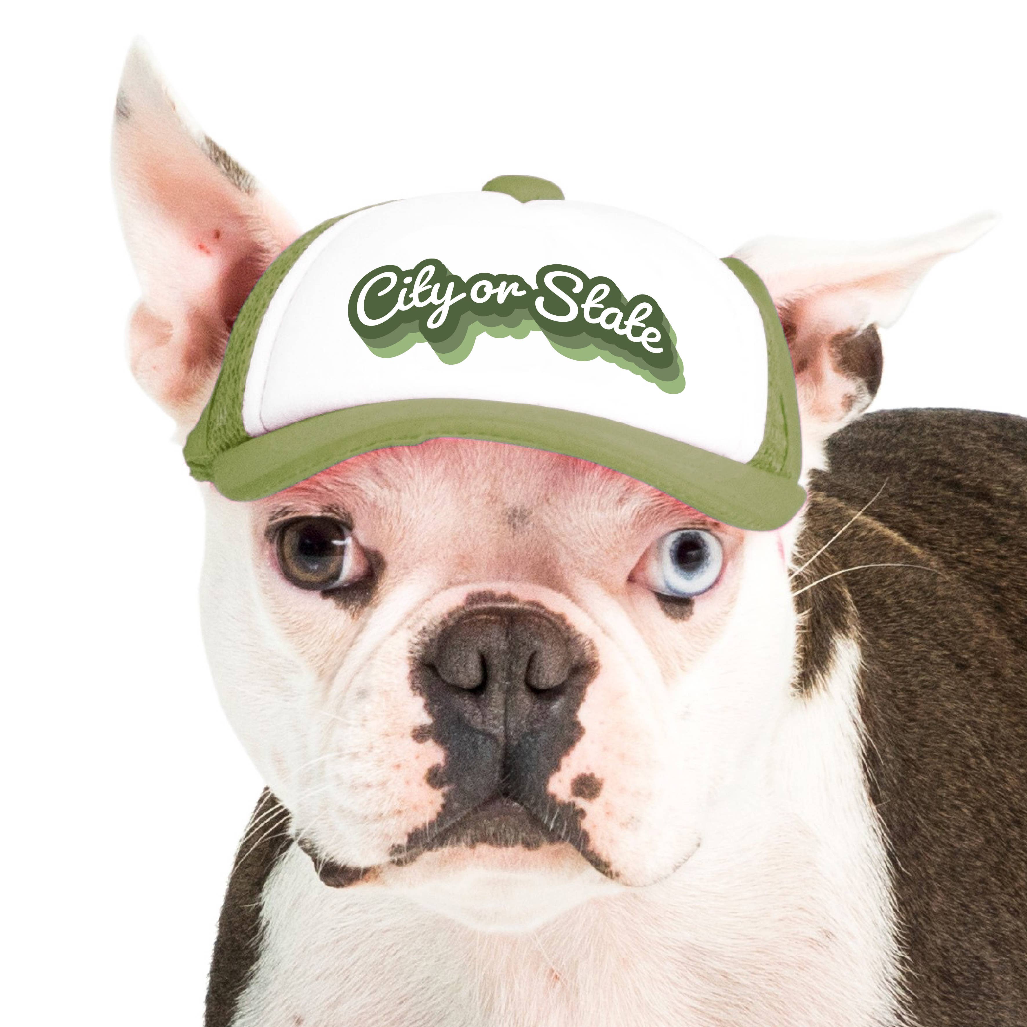 PupLid - Wholesale Pet Hat - Dog - Custom Retro Text | Trucker Hat for Dogs2