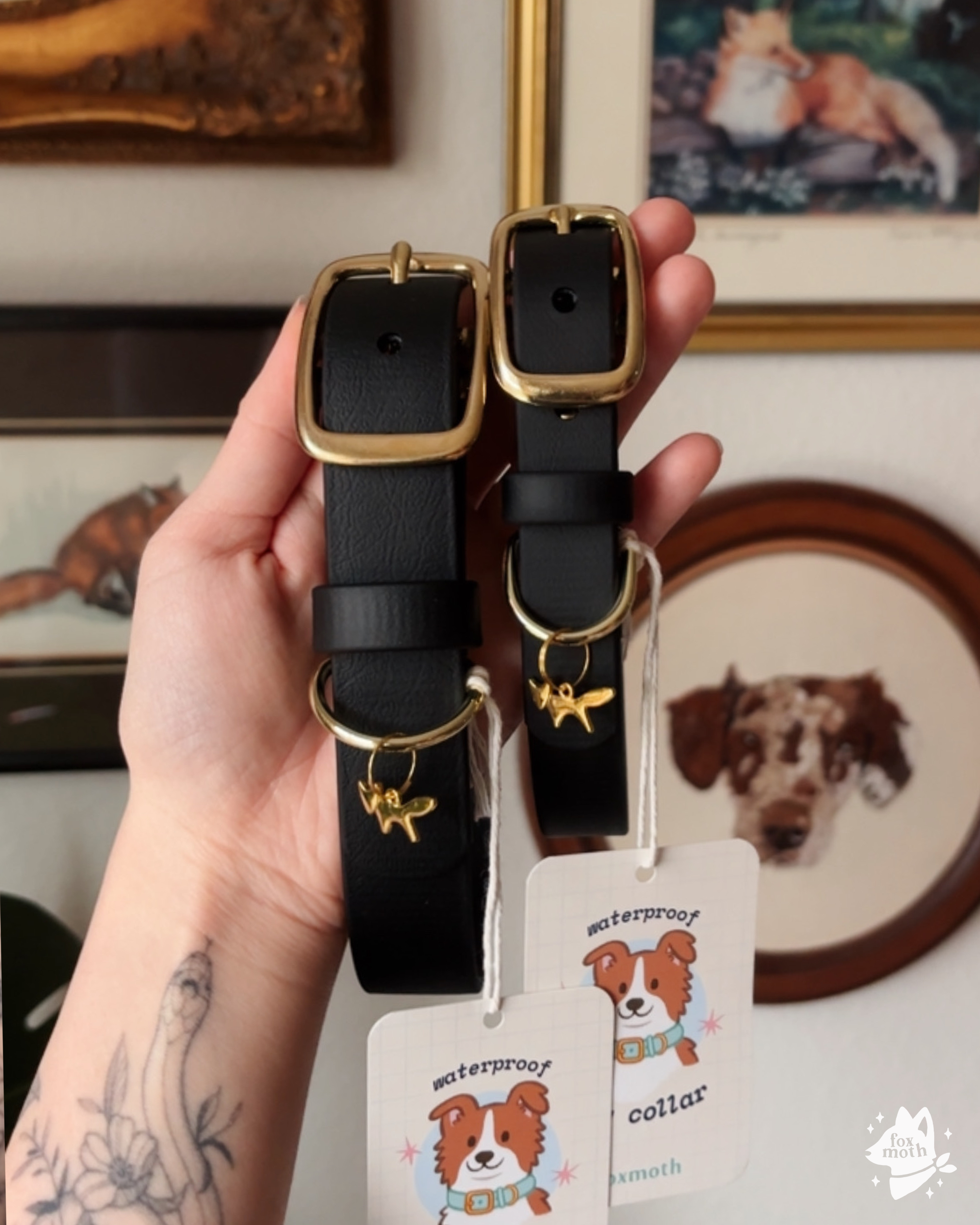 FoxMoth - Wholesale Pet Collar - Dog - Modern Waterproof Biothane Dog Collar [All 17+ Colors]11